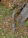 Promenad 2003-11-02 025.jpg